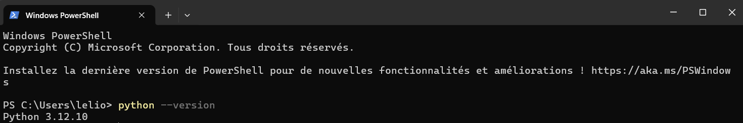 python terminal